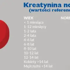 Podwyższony poziom kreatyniny w surowicy krwi - co to oznacza dla zdrowia?