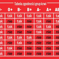 Tabela zgodności grup krwi: dawca i biorca. Sprawdź, które grupy krwi są zgodne, a które nie.