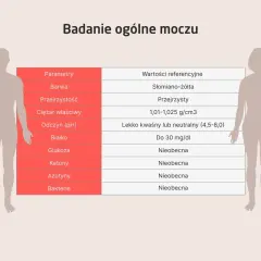 Tabela z parametrami badania ogólnego moczu, w tym odczyn (pH) lekko kwaśny lub neutralny (4,5-8,0).