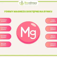 Różne formy magnezu: cytrynian, taurynian, glicynian, mleczan, tlenek, siarczan, węglan i jabłczan magnezu.