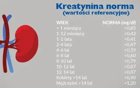 Podwyższony poziom kreatyniny w surowicy krwi - co to oznacza dla zdrowia?