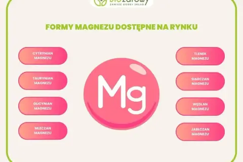 Różne formy magnezu: cytrynian magnezu na co, taurynian, glicynian, mleczan, tlenek, siarczan, węglan i jabłczan.