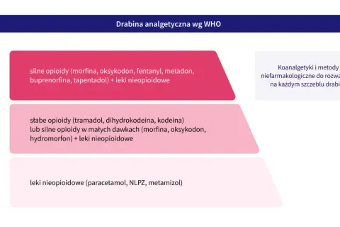 Drabina analgetyczna WHO: leki nieopioidowe, słabe i silne opioidy, koanalgetyki. Pomaga dobrać odpowiednie analgetyki do nasilenia bólu.
