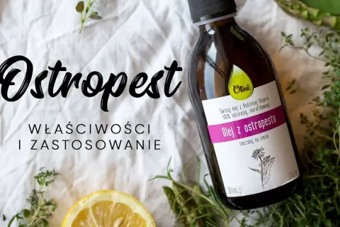 Jak prawidłowo zażywać olej z ostropestu? Dawkowanie, korzyści i przeciwwskazania