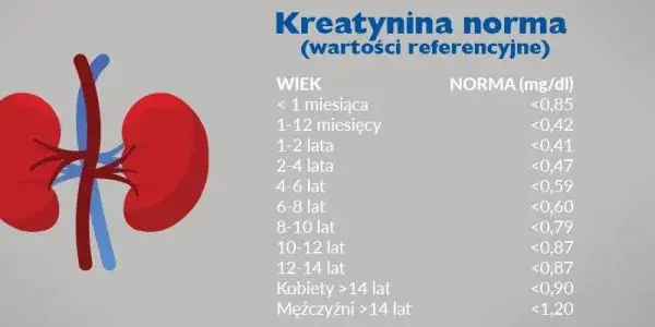 Podwyższony poziom kreatyniny w surowicy krwi - co to oznacza dla zdrowia?
