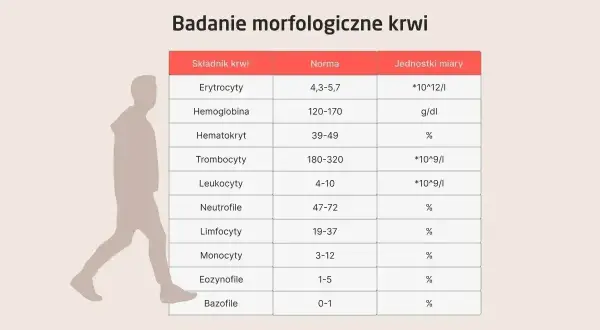 Tabela z badaniem morfologicznym krwi, wyjaśniająca co to jest morfologia i jakie są normy dla poszczególnych składników, np. erytrocytów, hemoglobiny, leukocytów.