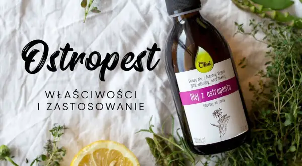 Jak prawidłowo zażywać olej z ostropestu? Dawkowanie, korzyści i przeciwwskazania