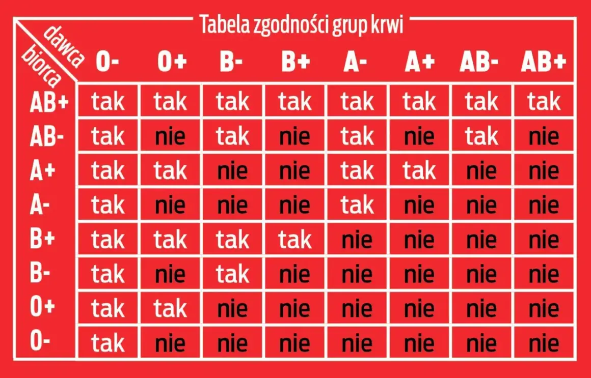 Tabela zgodności grup krwi: dawca i biorca. Sprawdź, które grupy krwi są zgodne, a które nie.