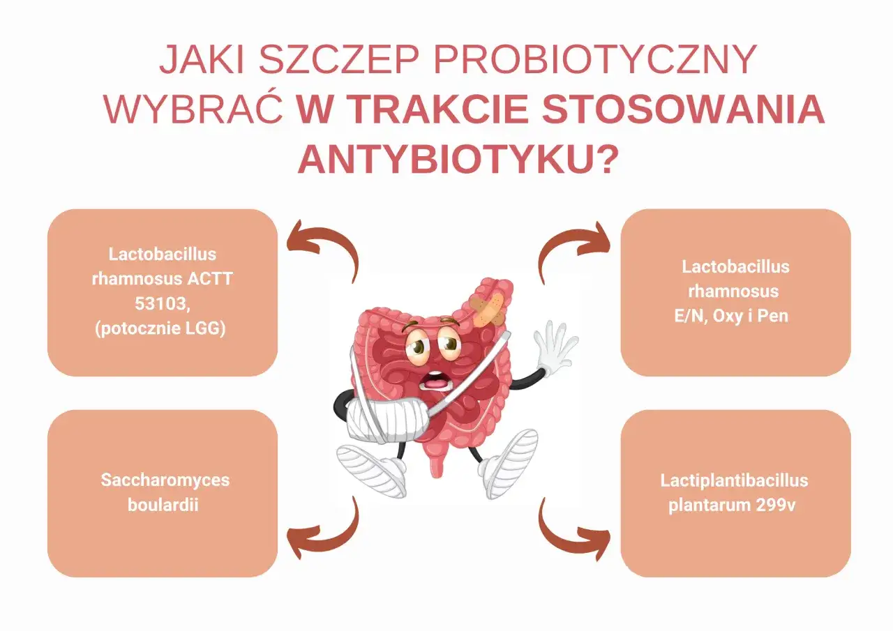 Lek probiotyczny - kiedy działa i jak go wybrać?
