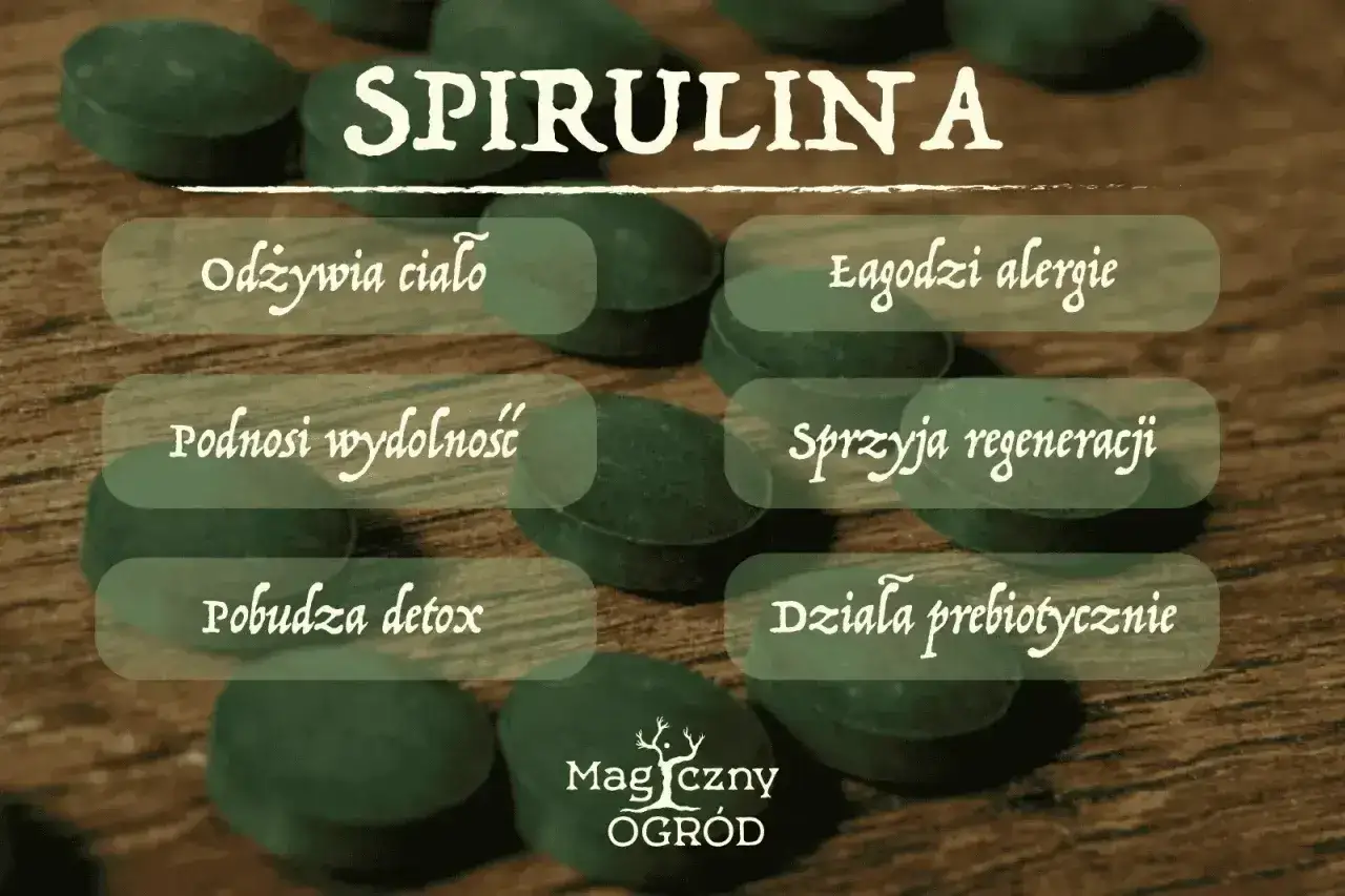Spirulina - co naprawdę daje i kiedy warto po nią sięgnąć