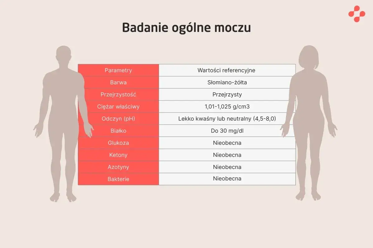 Tabela z parametrami badania ogólnego moczu, w tym kolorem, przejrzystością i obecnością bakterii. Wyniki są w normie.