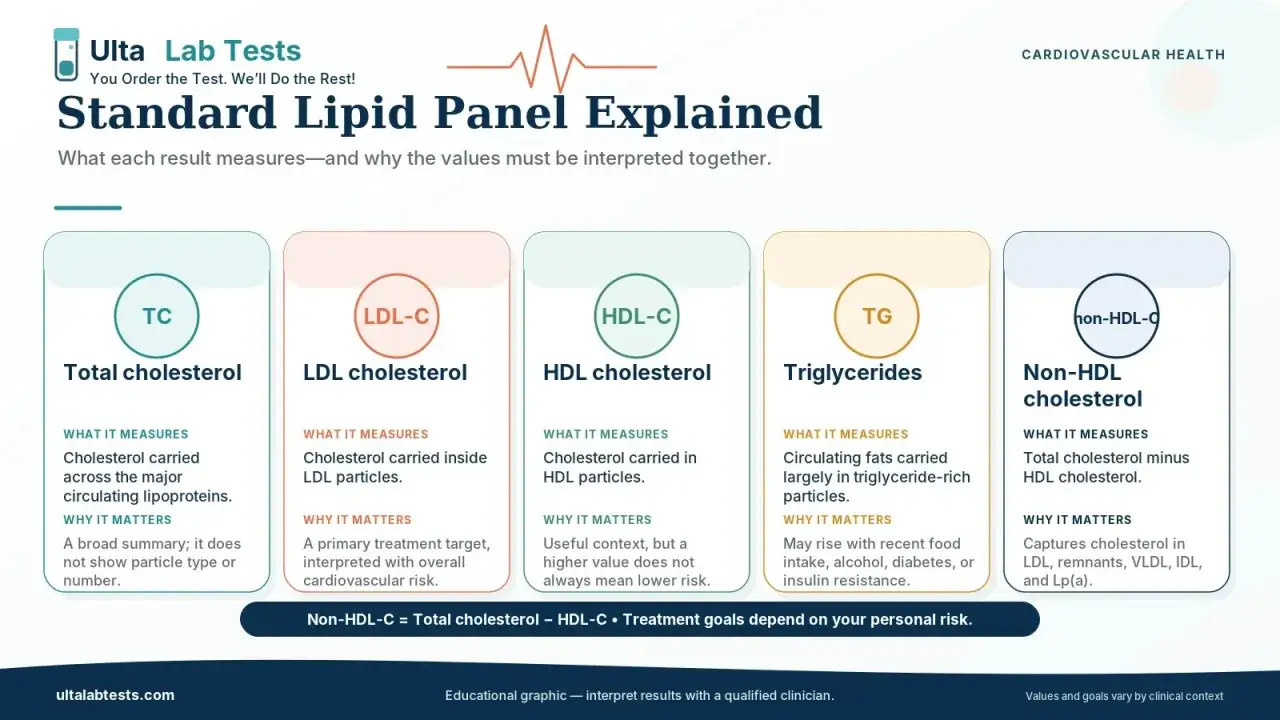 Grafika wyjaśnia panel lipidowy: TC, LDL-C, HDL-C, TG (triglicerydy) i Non-HDL-C. Norma triglicerydów jest ważna dla zdrowia serca.