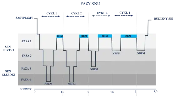 Faza REM snu - co oznacza i kiedy skonsultować objawy?