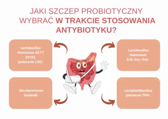 Lek probiotyczny - kiedy działa i jak go wybrać?