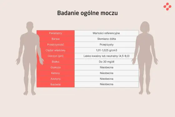 pH moczu - jaki wynik jest prawidłowy i co oznacza?
