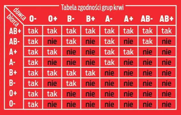 Tabela zgodności grup krwi: dawca i biorca. Sprawdź, które grupy krwi są zgodne, a które nie.