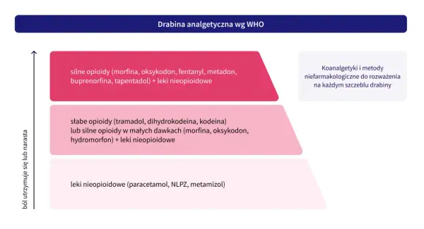 Drabina analgetyczna WHO: leki nieopioidowe, słabe i silne opioidy, koanalgetyki. Pomaga dobrać odpowiednie analgetyki do nasilenia bólu.